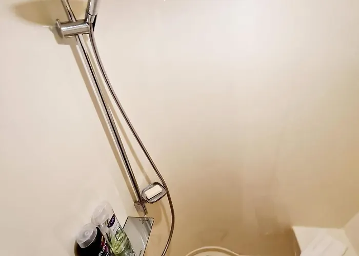 Den Den 船屋 伊斯坦布尔